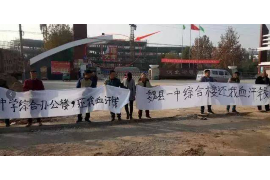 宁阳贷款清欠服务